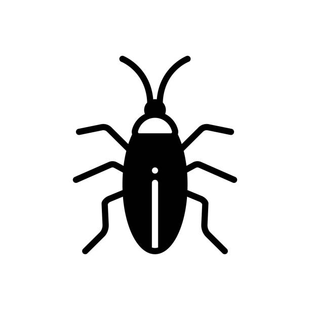 Blattodea