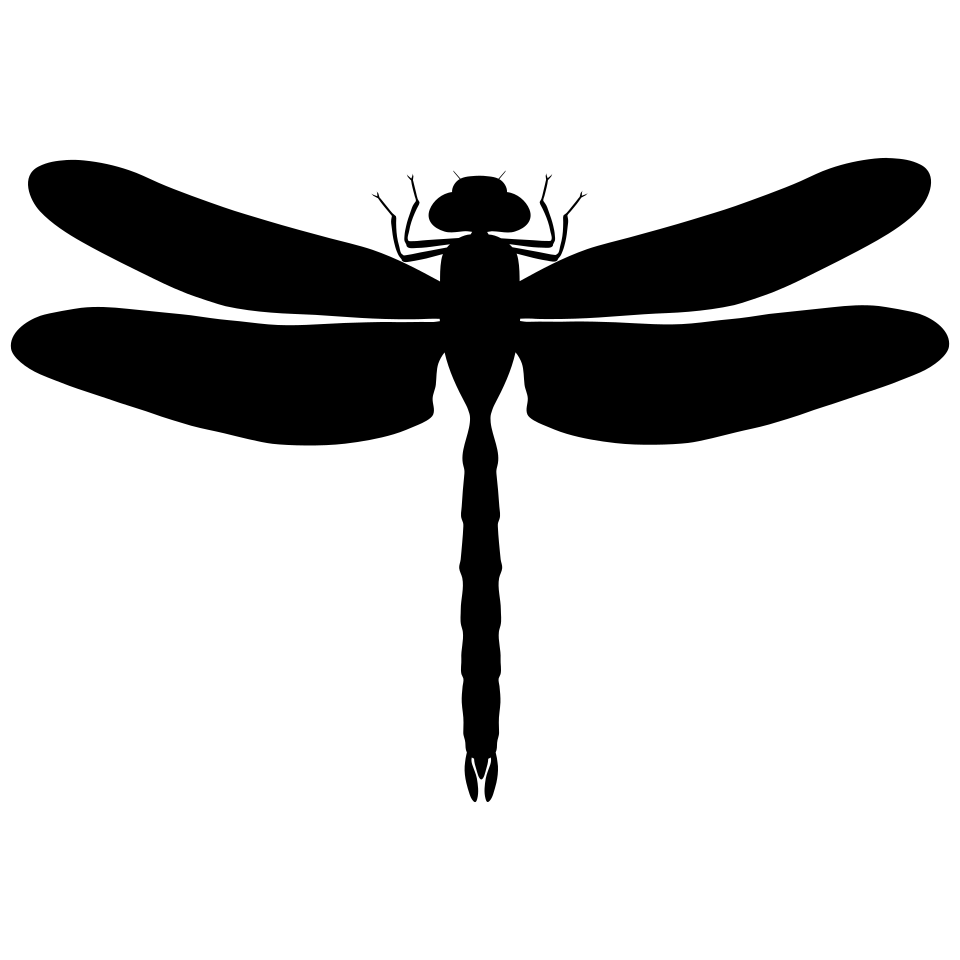 Odonata