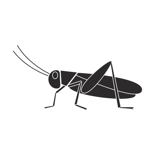 Orthoptera