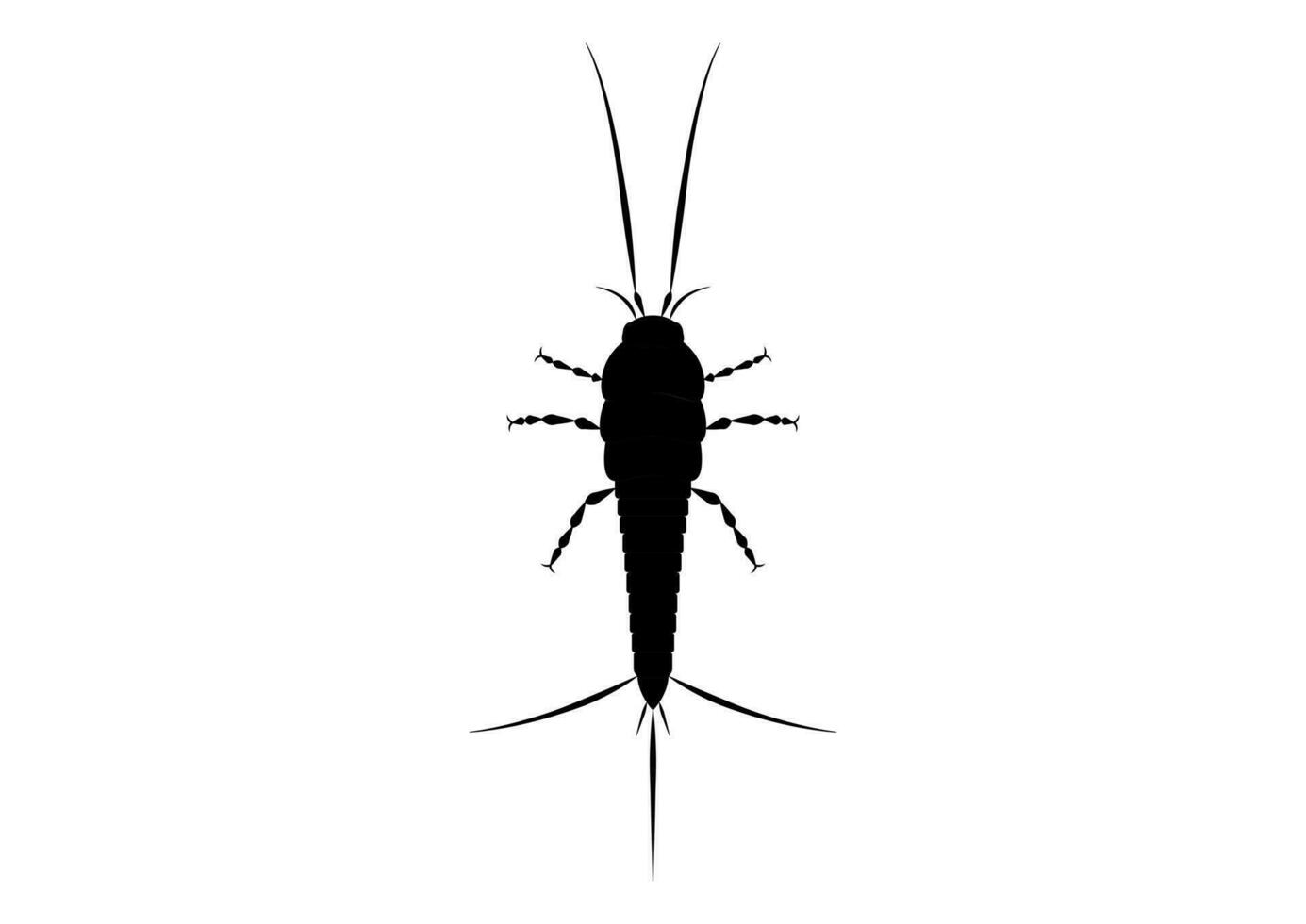 Thysanura